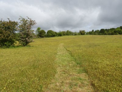 DSCN1795.JPG (2.06 MiB) Viewed 1810 times DSCN1795.JPG