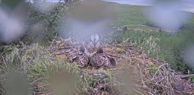 Screenshot 2025-06-24 19.53.16.png (2.09 MiB) Viewed 3435 times Screenshot 2025-06-24 19.53.16.png