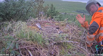 Screenshot 2025-06-23 17.18.47.png (1.49 MiB) Viewed 3435 times Screenshot 2025-06-23 17.18.47.png