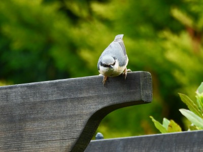 DSCN1554.JPG