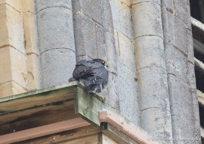 2025_080352.jpg