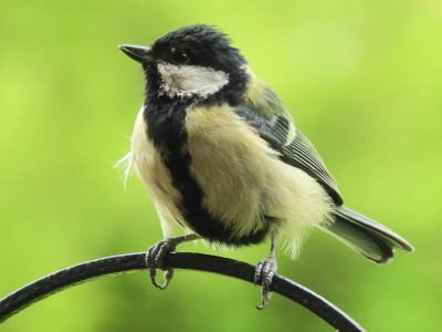 DSCN2442.JPG