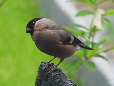 DSCN2281.JPG