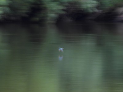DSCN9626.JPG