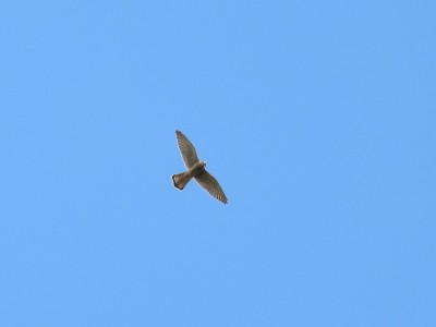 DSCN2120.JPG