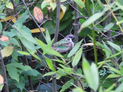 DSCN3075.JPG